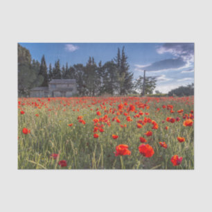 Steinhaus mit Ruby Red Tulip Field Seidenpapier