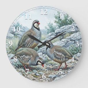 Steinhuhn ,Alectoris Graeca Jagdvögel Große Wanduhr