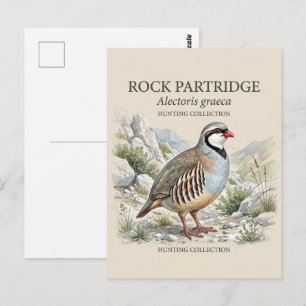 Steinhuhn, Alectoris Graeca Jagdvögel Postkarte