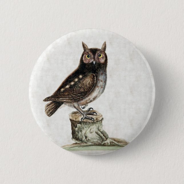 Steinkauz Button (Vorderseite)