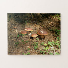 Steinpilz