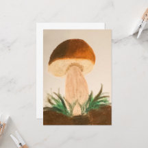 Steinpilz