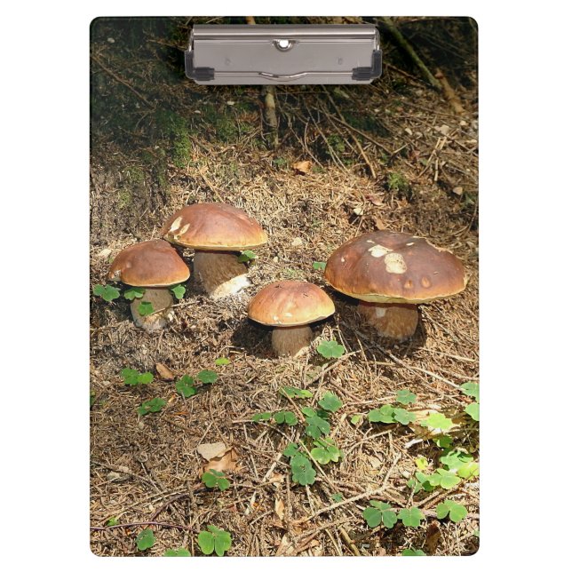 Steinpilz Klemmbrett (Vorderseite)