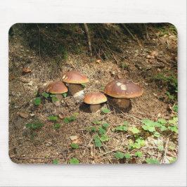 Steinpilz Mousepad