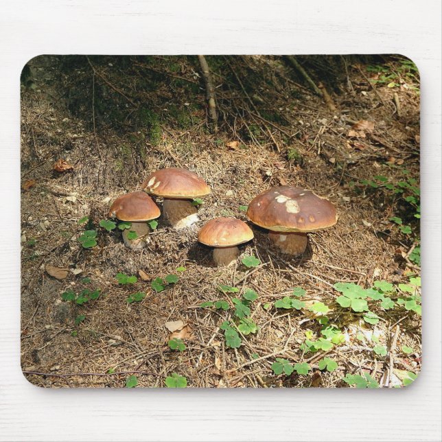 Steinpilz Mousepad (Vorne)
