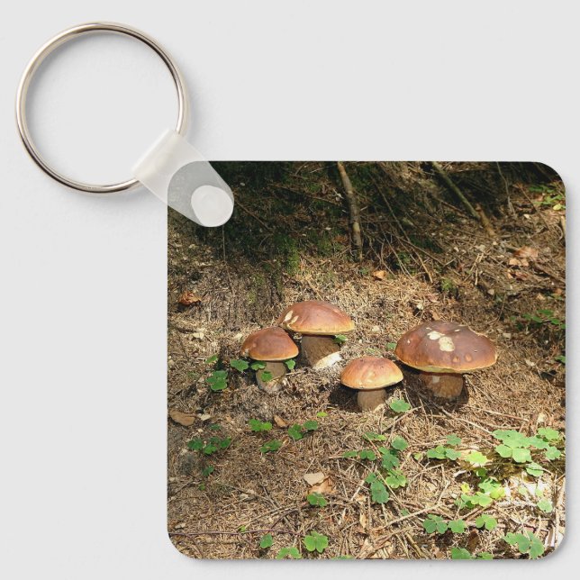 Steinpilz Schlüsselanhänger (Vorderseite)