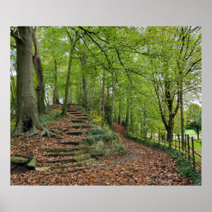 Steinschritte im Wald Poster