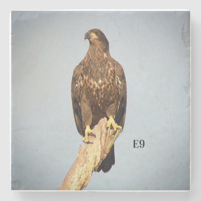 SteinUntersetzer E9 (Vorderseite)