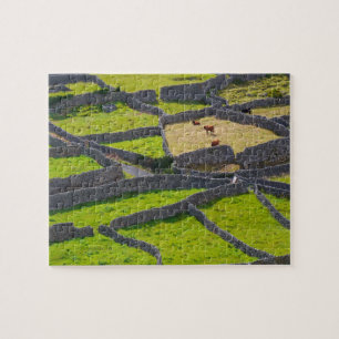 Steinwände Galway Irland.