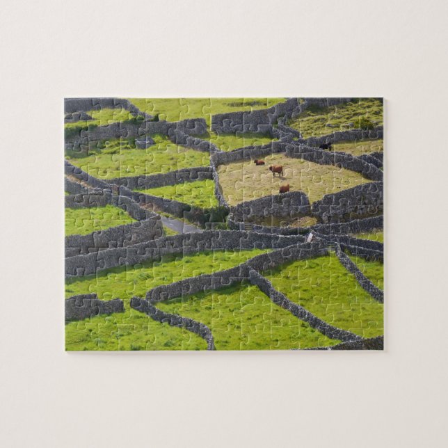 Steinwände Galway Irland. (Horizontal)