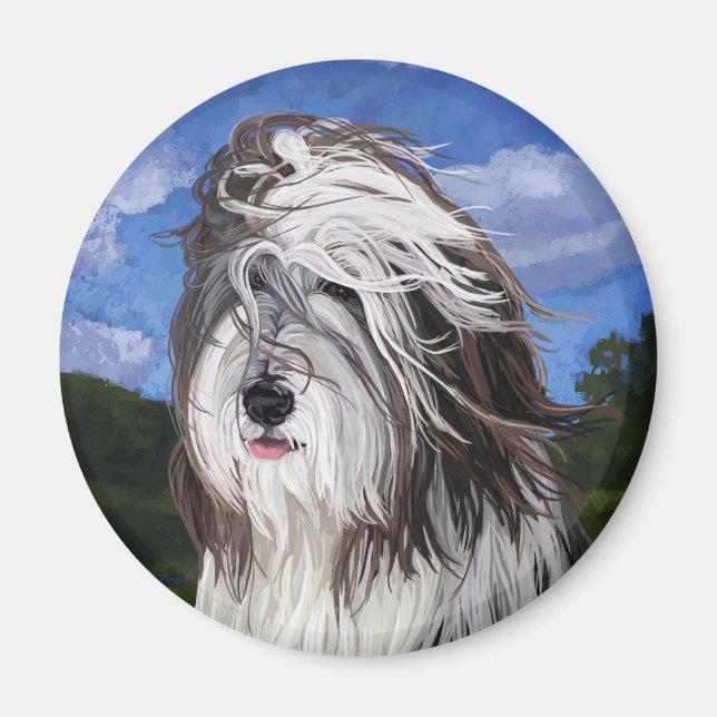 Stella, der englische Schafhund Magnet (Vorne)