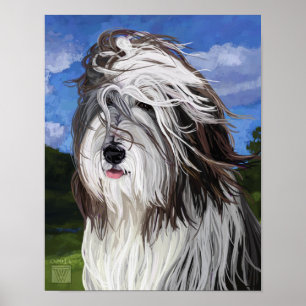 Stella, der englische Schafhund Poster