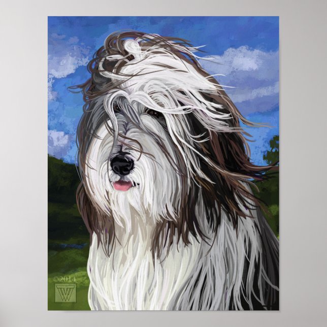 Stella, der englische Schafhund Poster (Vorne)