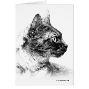 Stella étonnante le chat gris une fine féline