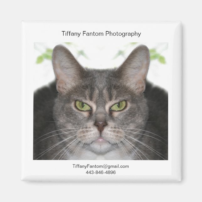 Stella Promo Magnet (Vorne)