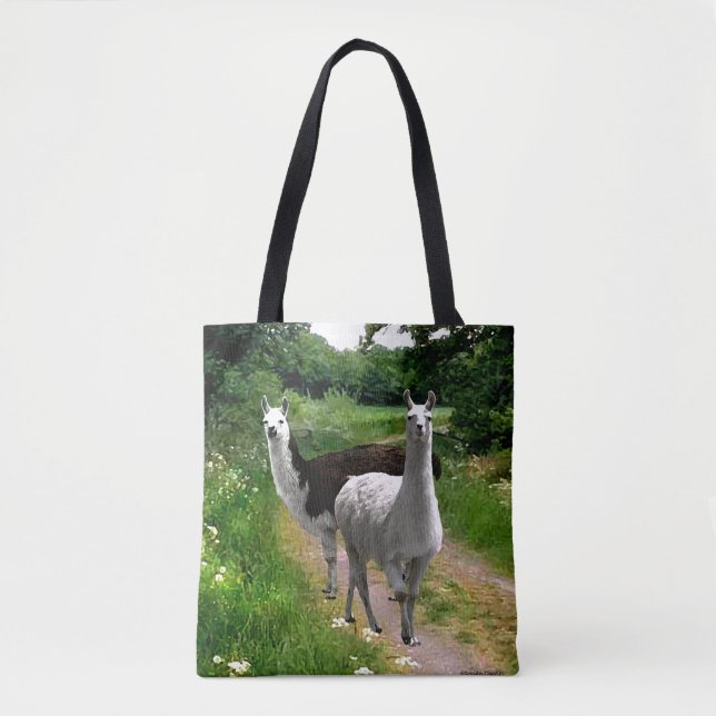 "Stella & The Pirate" Tote Bag Tasche (Vorderseite)