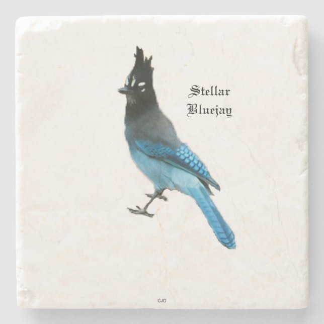 Stellar Blue Jay stone Untersetzer (Vorderseite)