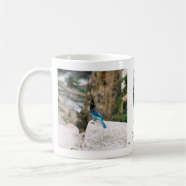 Stellar Blue Jay Tasse