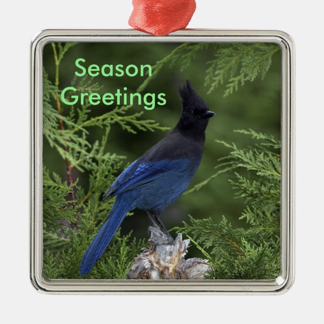 Stellar Jay Weihnachtsschmuck (Vorne)