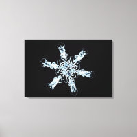 Stellar-Schneekristall