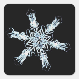 Stellar-Schneekristall Quadratischer Aufkleber
