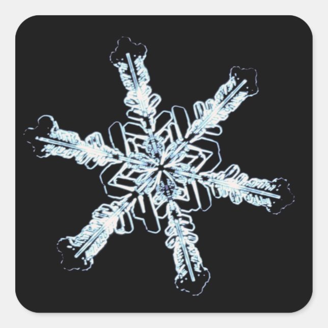 Stellar-Schneekristall Quadratischer Aufkleber (Vorderseite)