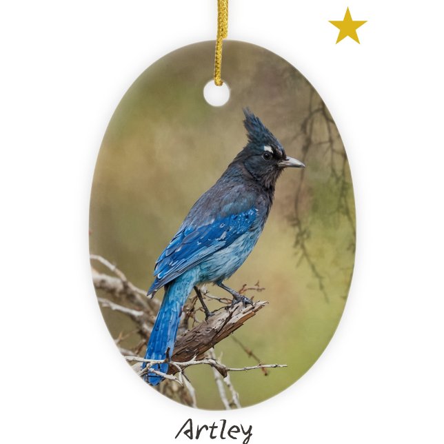 Stellar's Jay Bird Painting Custom Year Weihnachte Keramik Ornament (Von Creator hochgeladen)