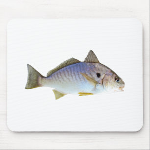 Stellen-Fisch-Foto Mousepad