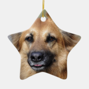 Stellen Sie Ihr eigenes Haustier-Foto her Keramik Ornament