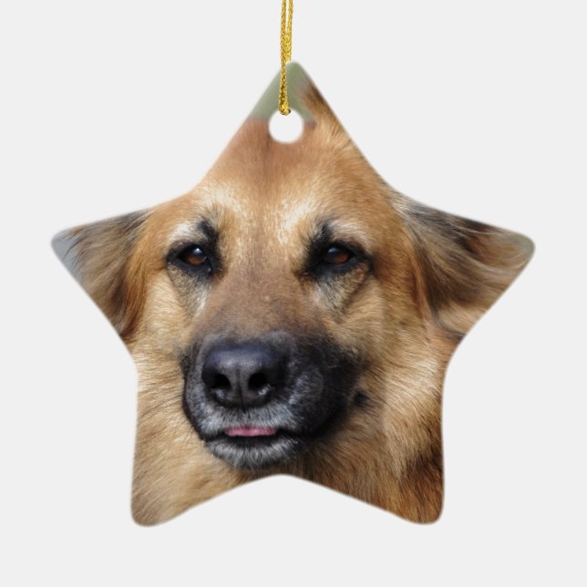 Stellen Sie Ihr eigenes Haustier-Foto her Keramik Ornament (Vorne)