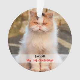 Stellen Sie Ihr eigenes Katzen-Foto her Ornament