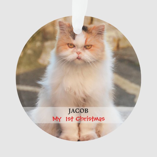 Stellen Sie Ihr eigenes Katzen-Foto her Ornament (Vorderseite)
