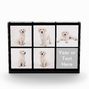 Stellen Sie Instagram Fotoblock