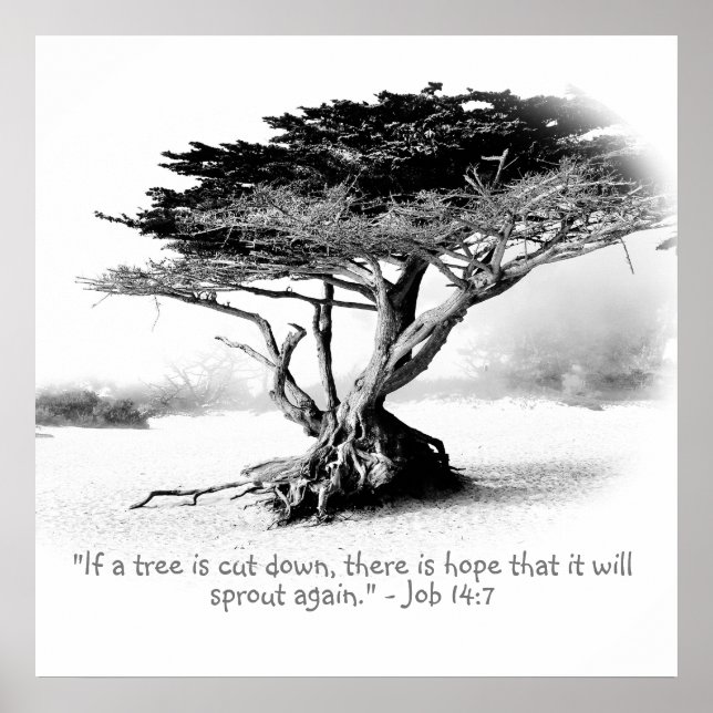 Stellenplan 14:7 poster (Vorne)