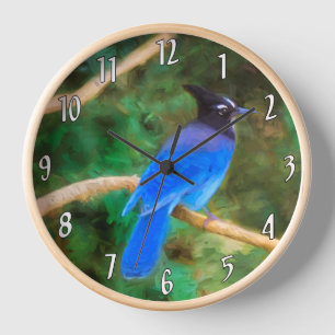 Steller-Jay-Gemälde - Originale Wildvogel-Kunst Uhr