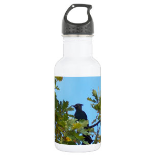 Steller Jay im Eichen-Baum Edelstahlflasche