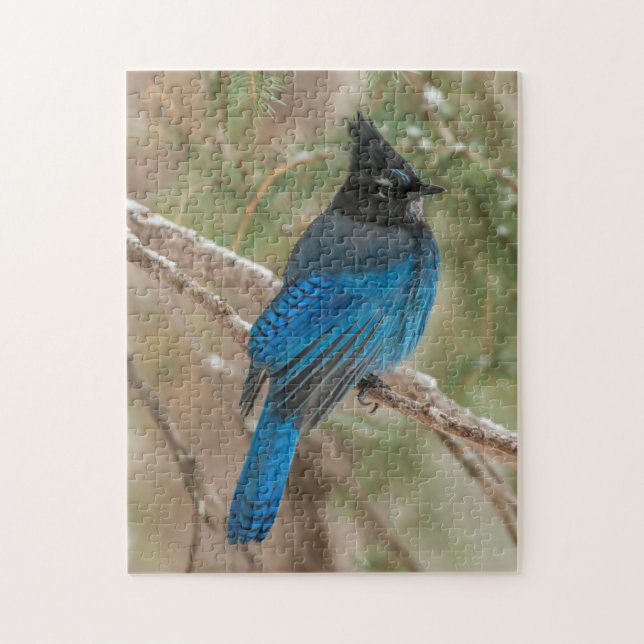 Steller-Jay-Vogel im Baum (Vertikal)