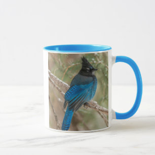 Steller-Jay-Vogel im Baum Tasse