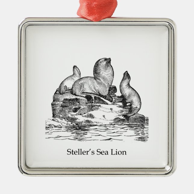 Steller Seelöwe Ornament Aus Metall (Vorne)