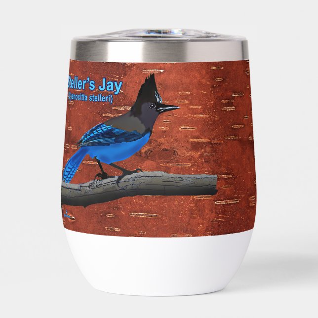 Stellers Jay auf der inneren Birkenhalde (Vorderseite)