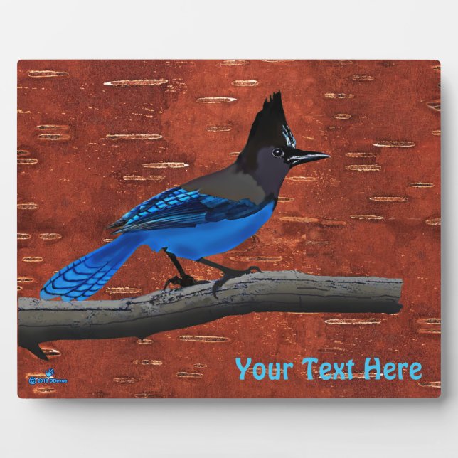 Stellers Jay auf der inneren Birkenhalde Fotoplatte (Vorderseite)