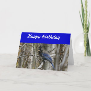 Stellers Jay-Geburtstags-Karte Karte