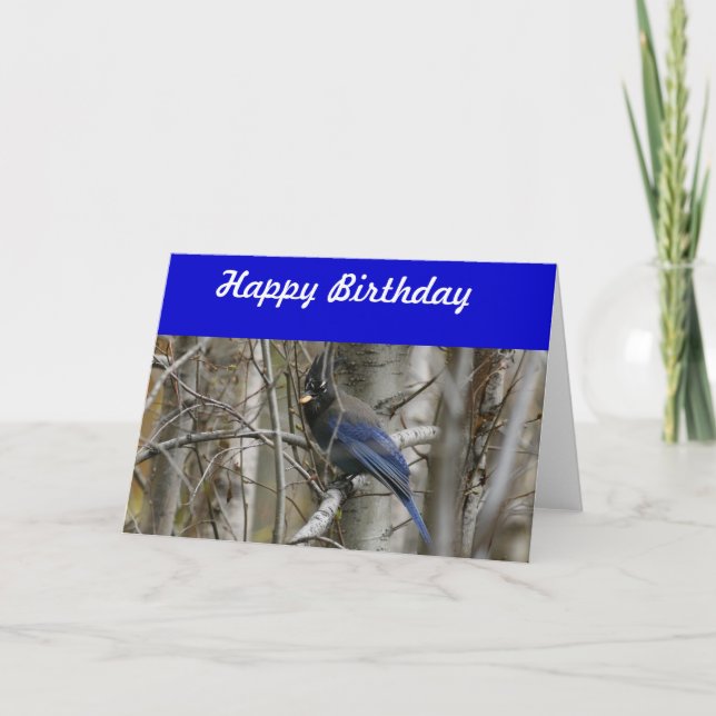 Stellers Jay-Geburtstags-Karte Karte (Vorderseite)
