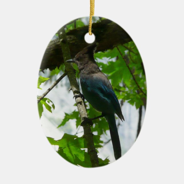 Steller's Jay im Yosemite-Nationalpark Keramikornament (Vorne)