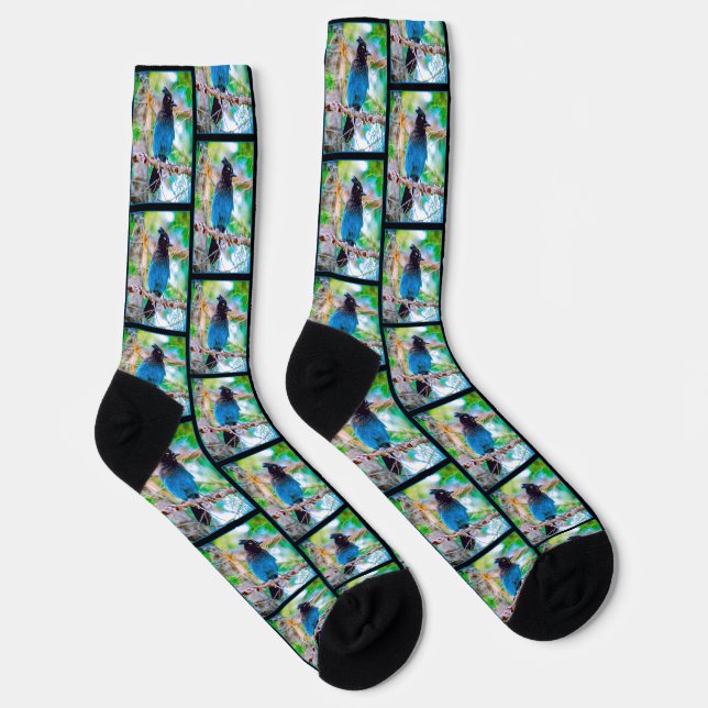 Steller's Jay in Forest Original Foto Socken (Rechts)