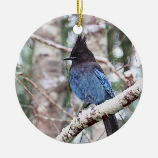 Stellers Jay Keramikornament (Vorne)