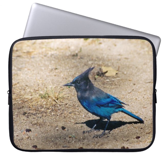 Stellers Jay-Laptophülse Laptopschutzhülle (Vorderseite)