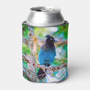 Steller's Jay - Original Foto Dosenkühler