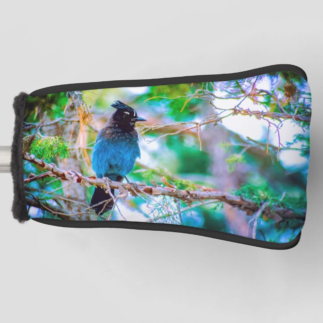 Steller's Jay - Original Foto Golf Headcover (Vorderseite)