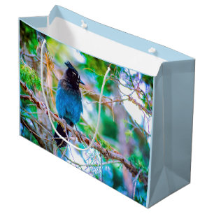 Steller's Jay - Original Foto Große Geschenktüte